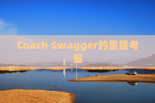Coach Swagger的重量考量 Coach Swagger的重量考量